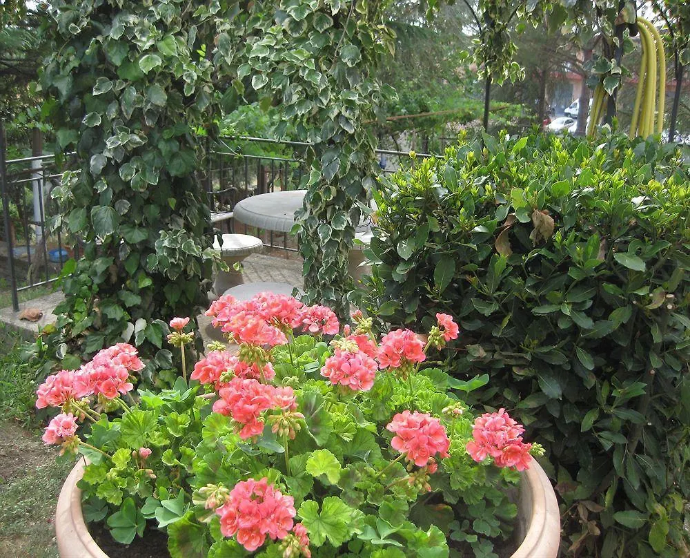 Apartman Albergaccio Siena